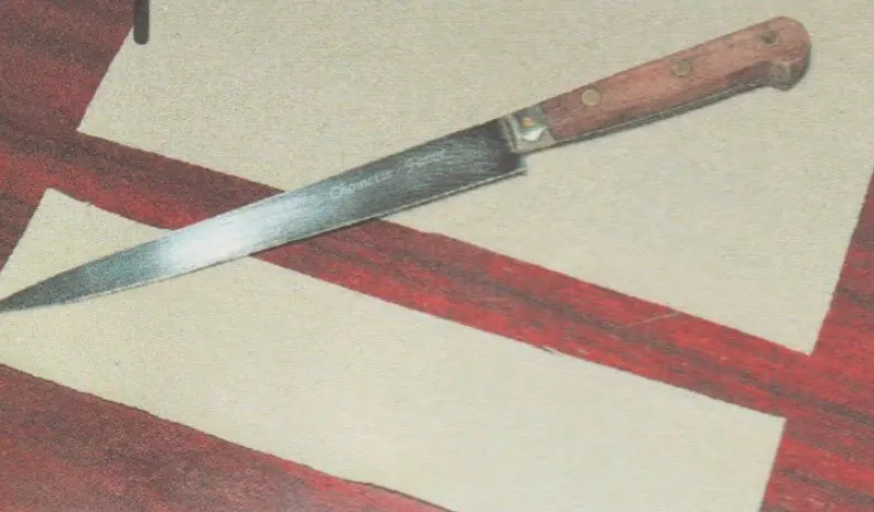 PLIAGE DES SAMOUSSAS - comment plier les samoussas? -