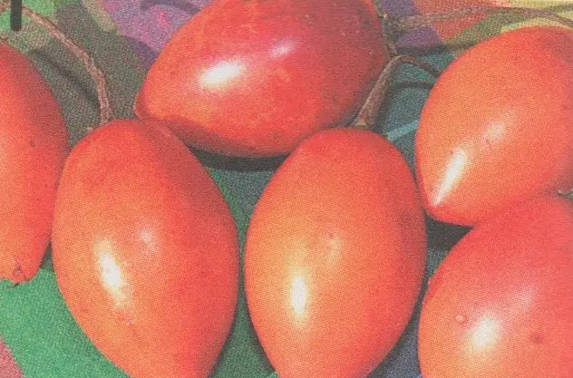 C'est quoi et comment faire le rougail tomates arbuste? -