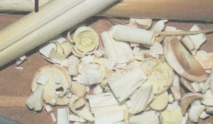 Comment faire la fameuse salade de palmiste de La Réunion? -